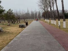 -汉长安城未央宫国家考古遗址公园