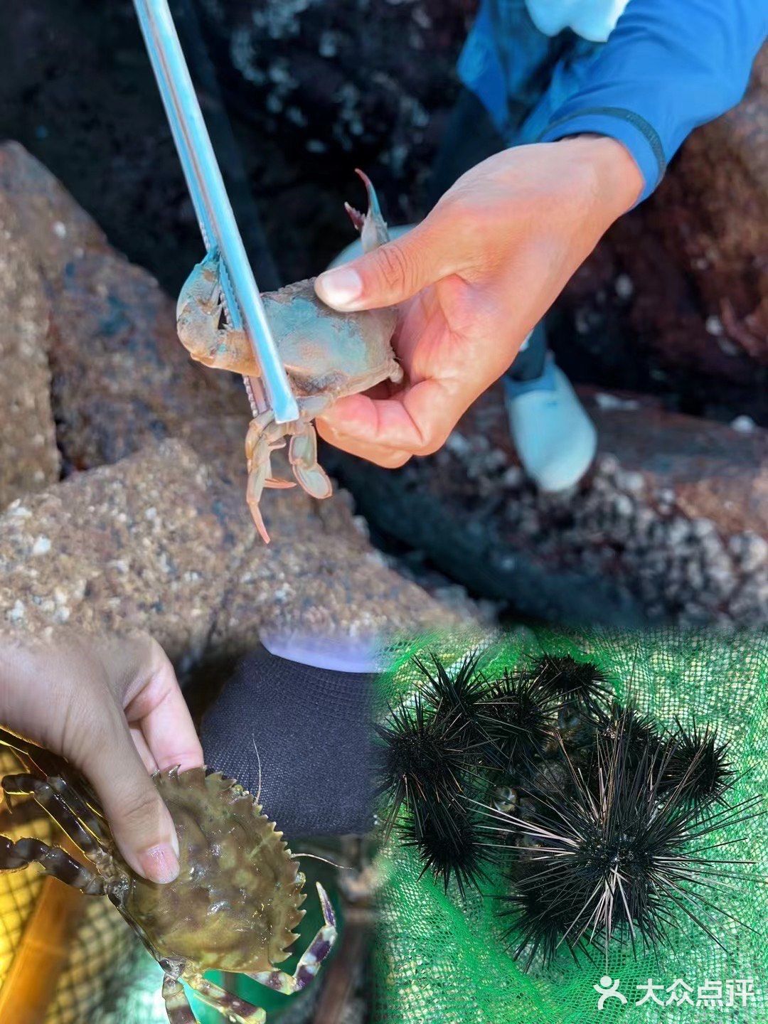 这样的赶海应该没有人不喜欢吧(2)图文篇🥰🥰🥰