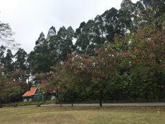 -南沙蒲洲花园