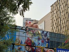 -鹏欣水游城