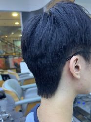 -藤野造型烫染