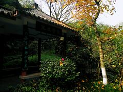-龙头寺公园