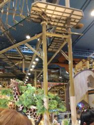 -卡通尼·Safari非洲探索乐园·生日会(金桥国际商业广场店)