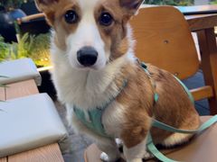 -木屋烧烤(龙华中路店)