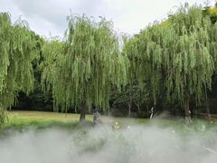 -苏州河梦清园环保主题公园