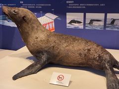 -舟山博物馆