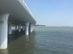 -演武大桥观景平台