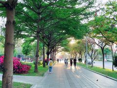 -四海公园(南山区)