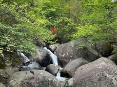 -大围山国家森林公园