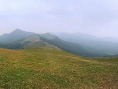 -大姆山草场