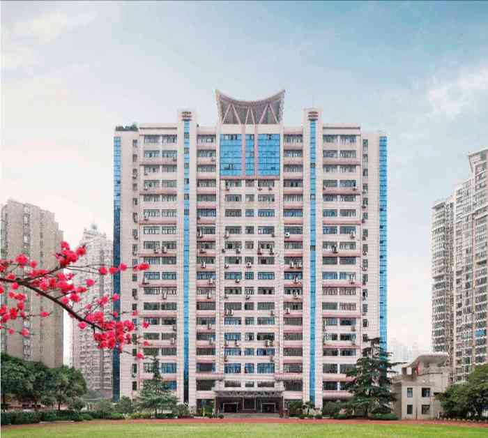 掌声响起来 上海外国语大学附属大境中学 黄浦区董家渡/南浦大桥高中