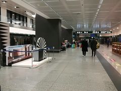 -米兰马尔彭萨国际机场