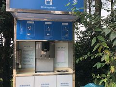 -铁山坪森林公园