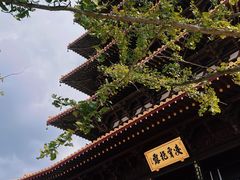 -牛首山文化旅游区