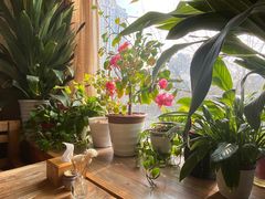 -云之南(八里庄店)