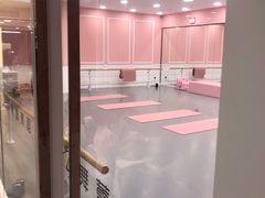 -舞蕾舞蹈(特长生校区)