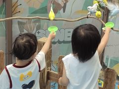 -杭州开元森泊度假乐园