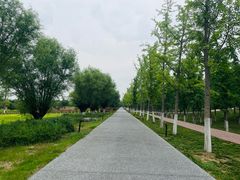 -汉长安城未央宫国家考古遗址公园