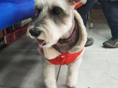 -全心全意连锁动物医院·特色中医诊疗(会城门分院)