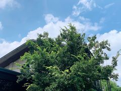-木守西溪溪隐餐厅