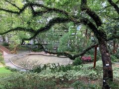 -香港大学