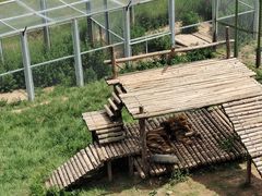 -青藏高原野生动物园