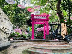 -海口观澜湖火山温泉谷