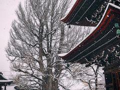 -医王山·飞騨国分寺