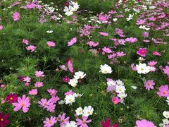 -绿茵阁(体育西分店)