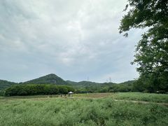 -八卦田遗址公园