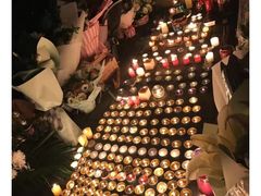 -上海市世外小学