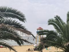 -碧海金沙
