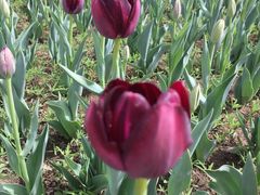 -长春公园(普阳街道)