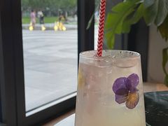 -The Rug Cafe(王府中环店)