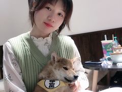 -逗柴咖啡屋·狗咖猫咖宠物桌游