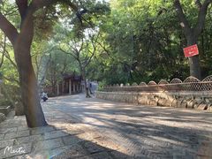 -灵岩山风景区