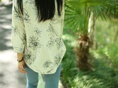 -合肥滨湖国家森林公园