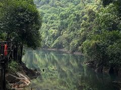-鼎湖山风景区