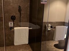 -河源万绿湖美思威尔顿酒店