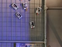 -红钳侠小龙虾·烧烤(中赢康康谷店)