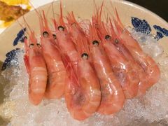 甜虾-黑松白鹿(金融街店)