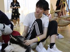 -Husky Go! 哈士奇体验馆·宠物咖啡厅狗咖