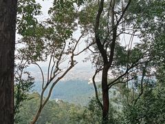 -番禺大夫山森林公园