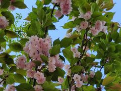 -长白岛森林公园