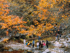 -光雾山旅游景区