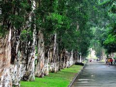 -广东外语外贸大学(白云山校区)