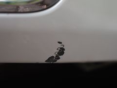 -南昌新华车饰XPEL钻石旗舰店