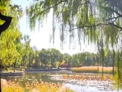 -望湖公园
