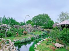 -上海野生动物园