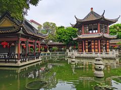 -碧江金楼